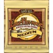 Ernie Ball 2002 - Earthwood Medium 