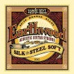 Ernie Ball 2045 - Earthwood Silk & Steel Soft