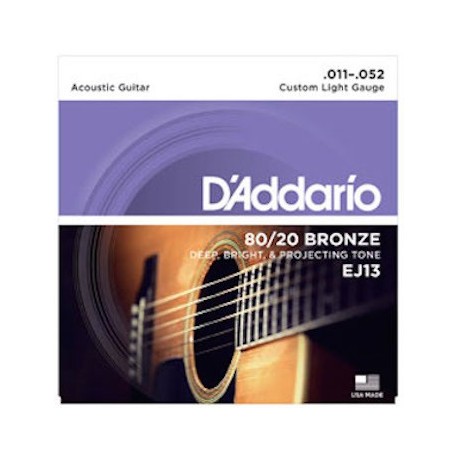 D'Addario EJ13