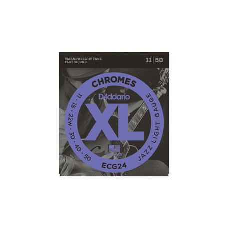 D'Addario ECG24