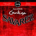 Savarez 510AR Alliance Cantiga Tens.Normale