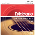 D'Addario EJ17