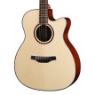 Crafter HTE-250 N
