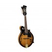 SOUNDSATION BMA-100ES Mandolino bluegrass