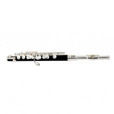 Soundsation SFP-10 Ottavino in do