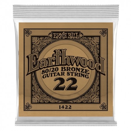 Ernie Ball 1422